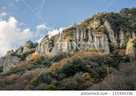 島根縣出雲市,塔奇庫埃峽谷,秋葉掩映下的岩壁巍峨聳立。 島根縣出雲市,塔奇庫埃峽谷,秋葉掩映下的岩壁巍峨聳立。 135494290