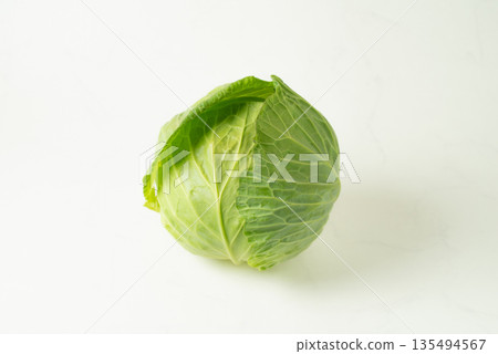 白色背景上的捲心菜 白色背景上的捲心菜 135494567