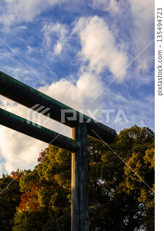 Early Autumn Evening Torii 135494723