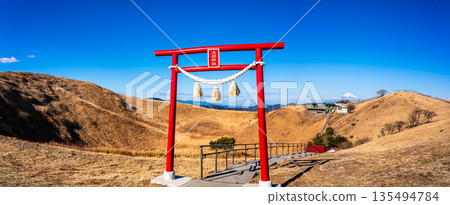 從大室山登山纜車山頂眺望淺間神社和富士山全景 [靜岡縣伊東市] 135494784