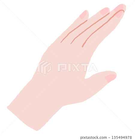 漂亮的手圖 135494978