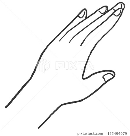 Beautiful hand illustration line drawing Beautiful hand illustration line drawing 135494979