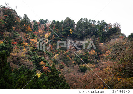 位於鳥取縣東白郡三德山上的三佛辻寺國寶級建築－禦德山三佛辻寺的招財堂，坐落在秋葉覆蓋的山巒之上。 135494980