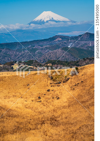 從大室山頂搭乘纜車攀登大室山和富士山 [靜岡縣伊東市] 135495000