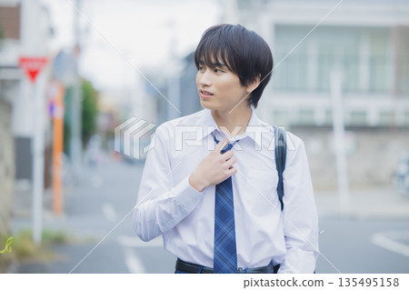 Schoolboys walking outdoors Schoolboys walking outdoors 135495158