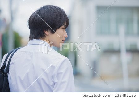 Schoolboys walking outdoors Schoolboys walking outdoors 135495159