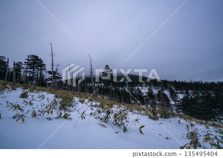 白雪皚皚的八岳和北小岳 白雪皚皚的八岳和北小岳 135495404
