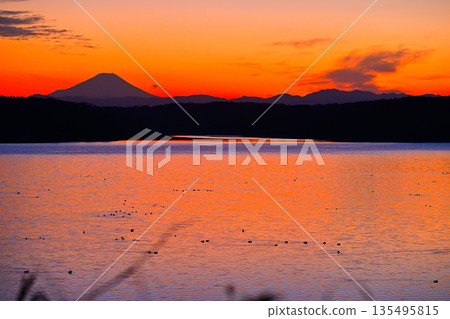Mount Fuji in the sunset, view from the shore of Lake Sayama Mount Fuji in the sunset, view from the shore of Lake Sayama 135495815