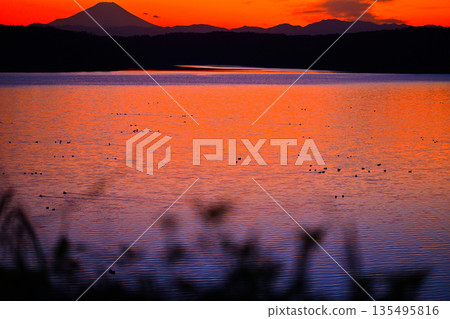 夕陽下的富士山，從狹山湖岸邊眺望 135495816