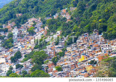Mountains with favelas houses tropical nature Rio de Janeiro Brazil. 135496065