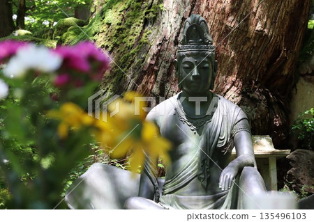 靜靜佇立的觀音 135496103