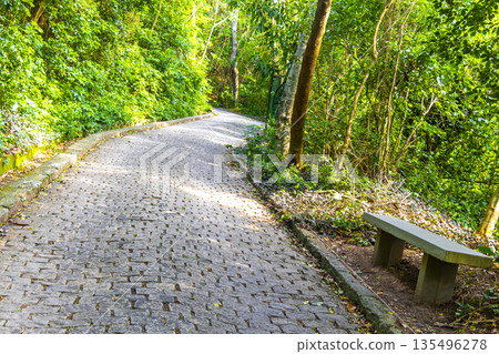 Walking path trail bench rainforest sea Rio de Janeiro Brazil. 135496278
