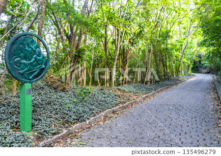 Walking path trail rainforest mountains in Rio de Janeiro Brazil. 135496279