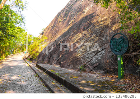 Walking path trail rainforest mountains in Rio de Janeiro Brazil. Walking path trail rainforest mountains in Rio de Janeiro Brazil. 135496293