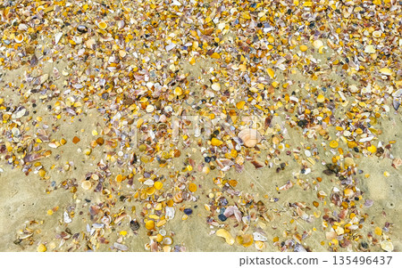 Copacabana beach sand corals pebbles waves Rio de Janeiro Brazil. Copacabana beach sand corals pebbles waves Rio de Janeiro Brazil. 135496437
