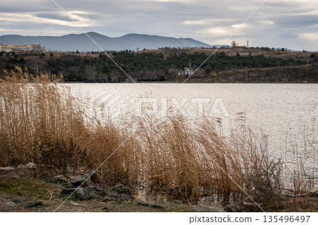 Early spring landscape of lake with dry reeds on cloudy day surrounded by hills and modern city. Early spring landscape of lake with dry reeds on cloudy day surrounded by hills and modern city. 135496497