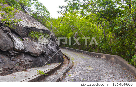 Walking path trail rainforest mountains in Rio de Janeiro Brazil. Walking path trail rainforest mountains in Rio de Janeiro Brazil. 135496606