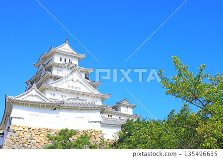 兵庫縣姬路市國寶姬路城風景 135496635