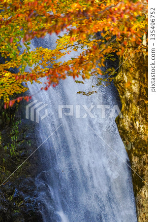 Fudo Falls (Itoigawa-shi) 135496752