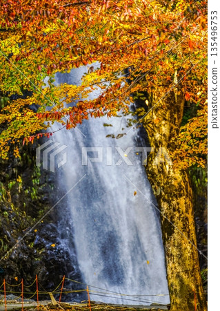 Fudo Falls (Itoigawa-shi) 135496753