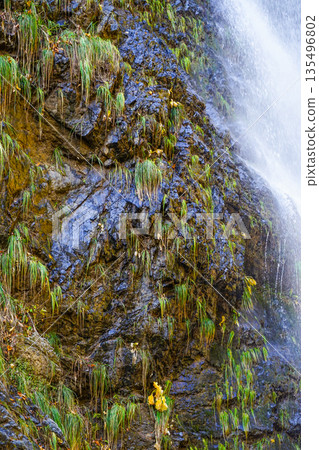 Fudo Falls（Itoigawa-shi） 135496802