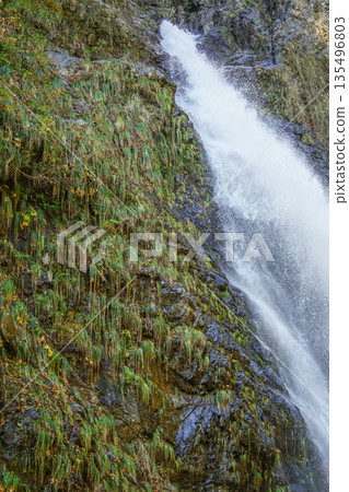 Fudo Falls（Itoigawa-shi） 135496803