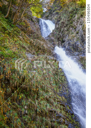 Fudo Falls (Itoigawa-shi) Fudo Falls (Itoigawa-shi) 135496804