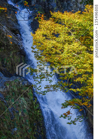 Fudo Falls (Itoigawa-shi) 135496808