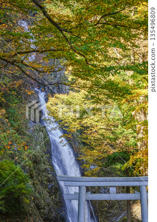 Fudo Falls(Itoigawa-shi) Fudo Falls(Itoigawa-shi) 135496809
