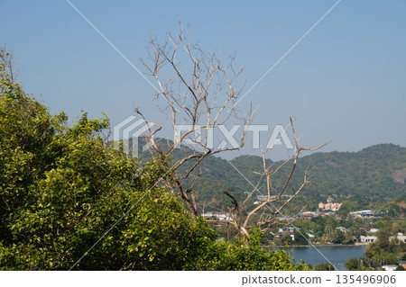 View of the mountains, green gardens and the sea of Thailand.View of the mountains of Thailand. View of the mountains, green gardens and the sea of Thailand.View of the mountains of Thailand. 135496906