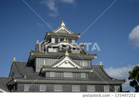 Okayama Castle's keep stands majestically against a backdrop of blue sky and white clouds, its black exterior blending seamlessly with traditional architectural aesthetics. 135497252