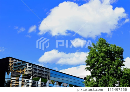 晴空萬裡，雲朵點綴著福岡市立博物館 135497266