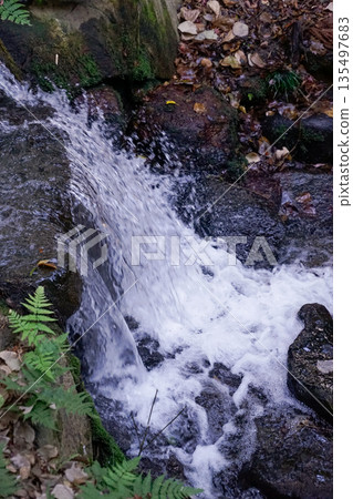 Japan Okayama Gorakuen Flowing Rocks and Blue Moss Stream Waterfall Special Photo, Streaming Water and Natural Vegetation Landscape Japan Okayama Gorakuen Flowing Rocks and Blue Moss Stream Waterfall Special Photo, Streaming Water and Natural Vegetation Landscape 135497683
