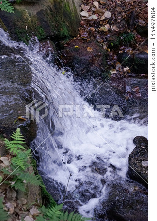 Japan Okayama Gorakuen Flowing Rocks and Blue Moss Stream Waterfall Special Photo, Streaming Water and Natural Vegetation Landscape Japan Okayama Gorakuen Flowing Rocks and Blue Moss Stream Waterfall Special Photo, Streaming Water and Natural Vegetation Landscape 135497684
