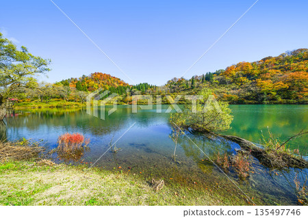 Takami no Ike（Itoigawa-shi） 135497746