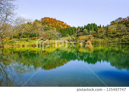 Takami no Ike（Itoigawa-shi） 135497747