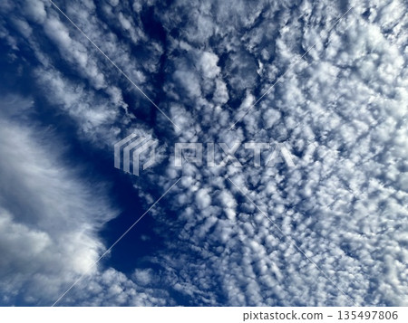 沙丁魚雲☆mar_lapin 沙丁魚雲☆mar_lapin 135497806