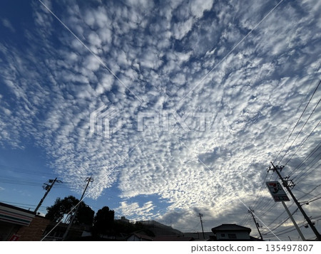 沙丁魚雲☆mar_lapin 沙丁魚雲☆mar_lapin 135497807