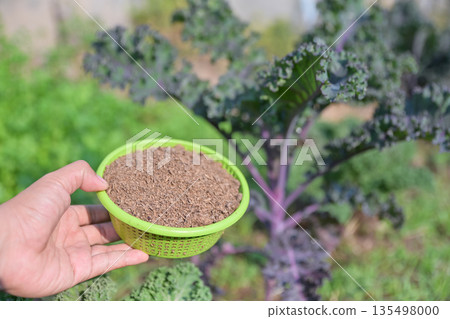 hand hold manure for using with organic plant in home planting hand hold manure for using with organic plant in home planting 135498000