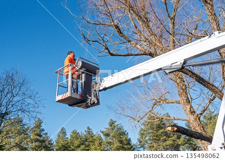 Arborist in Action Tree Pruning with Aerial Lift on a Sunny Day, Professional Tree Care Arborist in Action Tree Pruning with Aerial Lift on a Sunny Day, Professional Tree Care 135498062