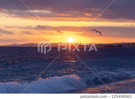 French Riviera, the sunset of La Baie des Anges or Bay of Angels, moody sky and seagull fly away French Riviera, the sunset of La Baie des Anges or Bay of Angels, moody sky and seagull fly away 135498063