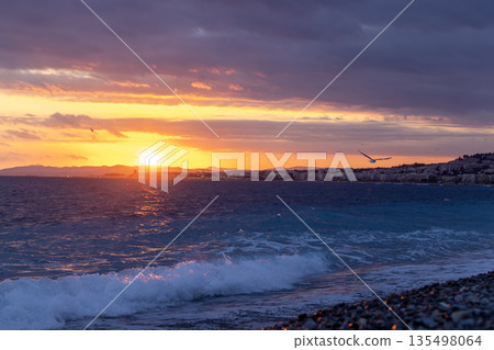 French Riviera, the sunset of La Baie des Anges or Bay of Angels, moody sky and seagull fly away 135498064