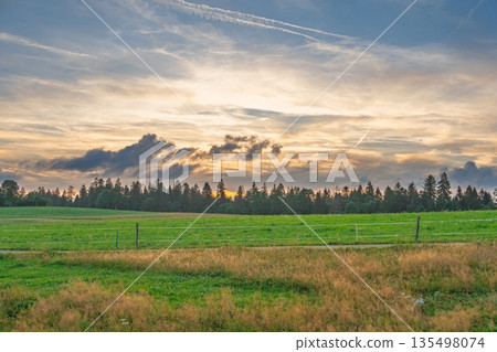 Scenic Landscape of Green Field at Sunset with Dramatic Sky and Distant Forest View 135498074