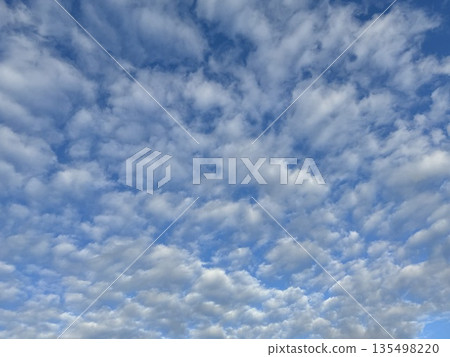 Clouds (lots of small clusters) spreading across the blue sky / The sky Clouds (lots of small clusters) spreading across the blue sky / The sky 135498220