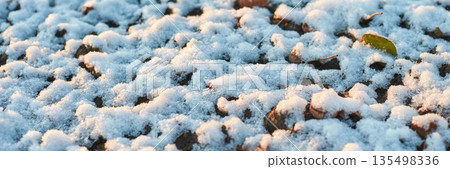 Early winter snow dusting over autumn leaves on a sunlit ground 135498336
