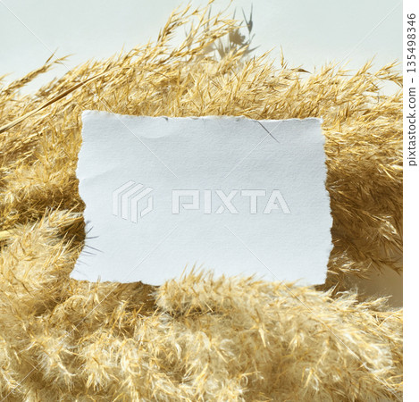 Blank paper on natural dry grass background under sunlight with delicate 135498346