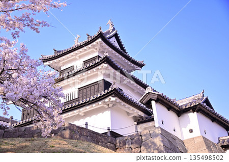 白川小峰城遺址櫻花 白川小峰城遺址櫻花 135498502