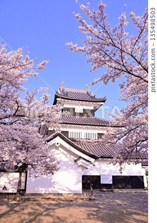 白川小峰城遺址櫻花 白川小峰城遺址櫻花 135498503