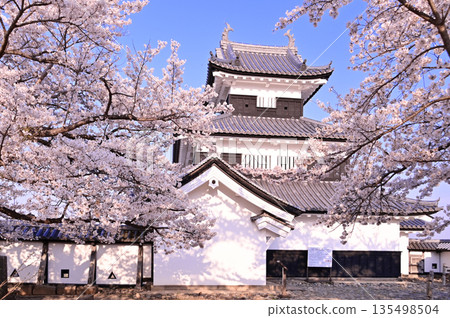 白川小峰城遺址櫻花 白川小峰城遺址櫻花 135498504