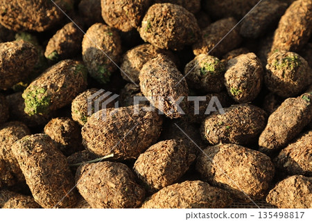 Grayish Green Dried Marijuana Buds for sell Grayish Green Dried Marijuana Buds for sell 135498817